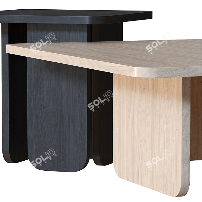 TEULAT Arq Coffee Table - Ash Black Finish 3D model image 2