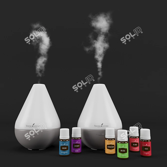 Aromatherapy Essential Oil Set 3D model image 1
