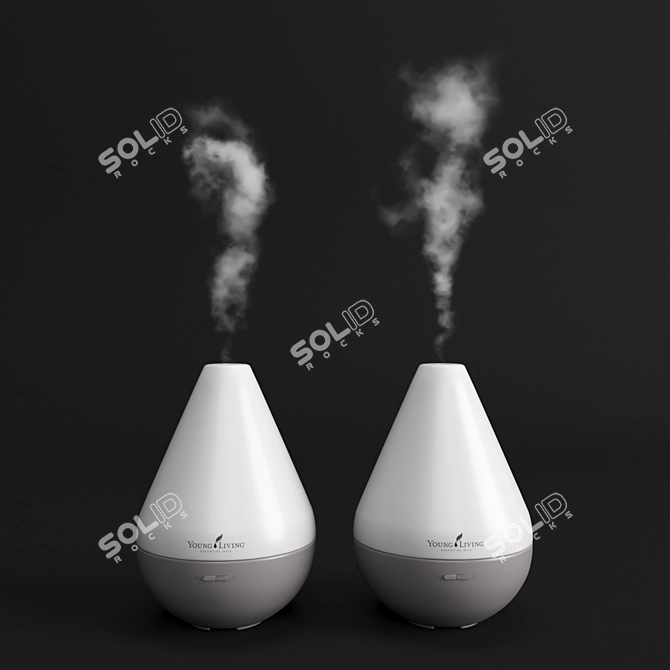 Aromatherapy Essential Oil Set 3D model image 2