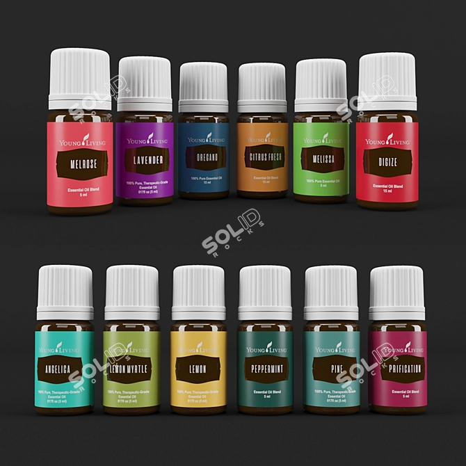 Aromatherapy Essential Oil Set 3D model image 3