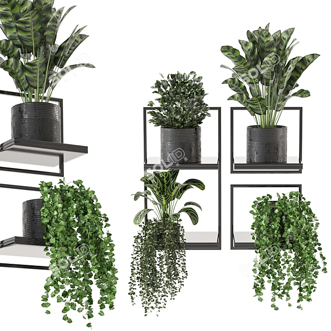 Indoor Metal Box Hanging Plants Set 3D model image 2