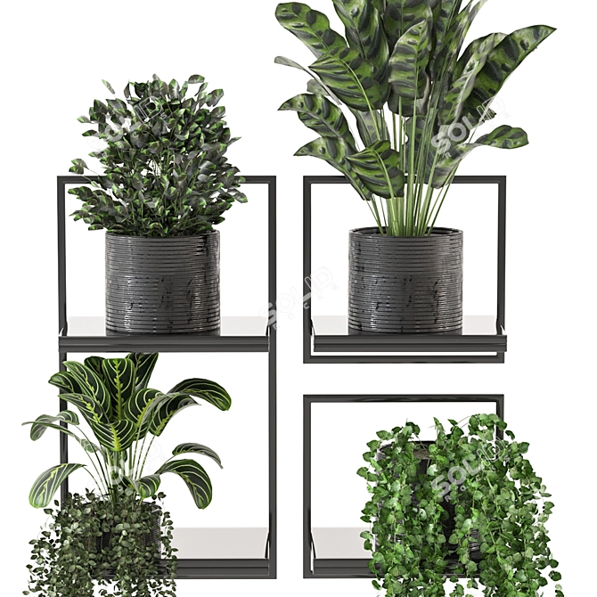 Indoor Metal Box Hanging Plants Set 3D model image 3