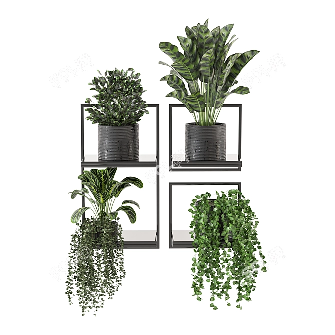 Indoor Metal Box Hanging Plants Set 3D model image 5