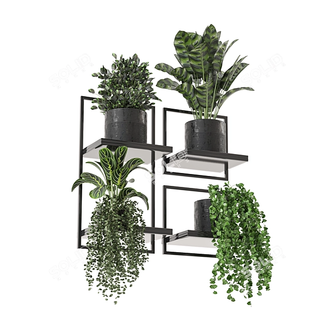 Indoor Metal Box Hanging Plants Set 3D model image 6