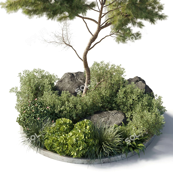 81-Pot Garden Collection: Indoor & Outdoor Plants 3D model image 3