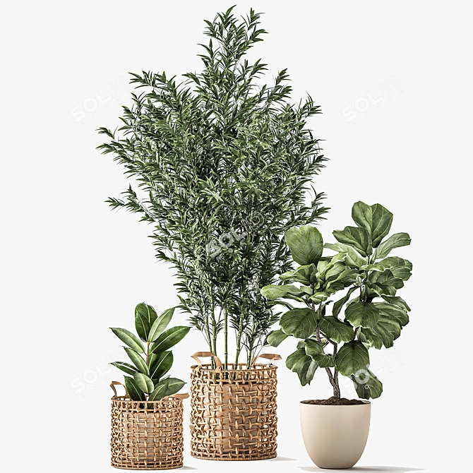 Exotic Plant Collection - Indoor & Outdoor Decorative Trees 3D model image 6