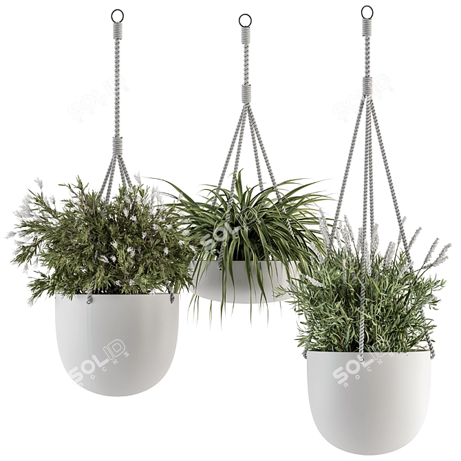 Botanical Beauties - Hanging Plant Ensemble 3D model image 1