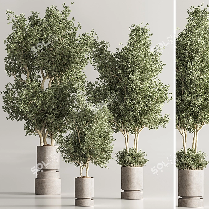  Lush Indoor Plant Set 39 3D model image 3