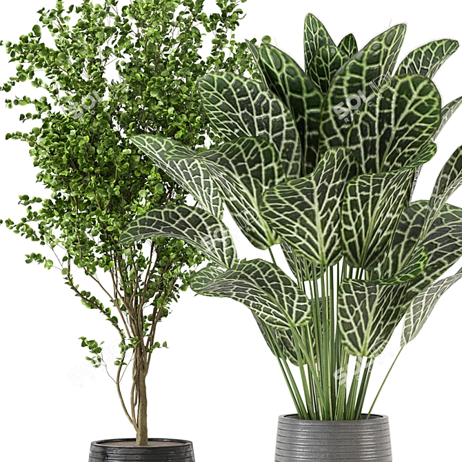 Tropical Plant Collection - Set 246 3D model image 3