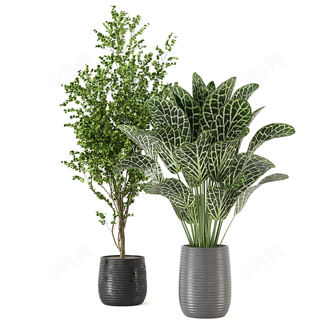 Tropical Plant Collection - Set 246 3D model image 5