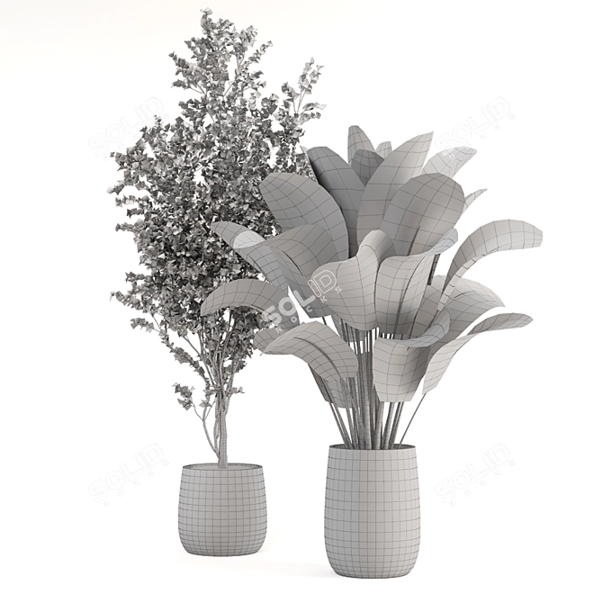 Tropical Plant Collection - Set 246 3D model image 6