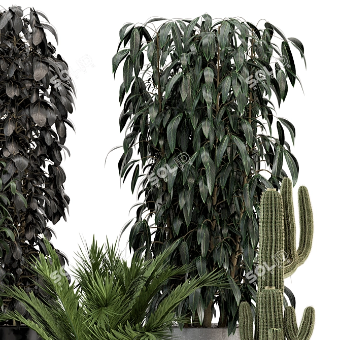 Modern Indoor Plants in Ferm Living Bau Pot Set 3D model image 2