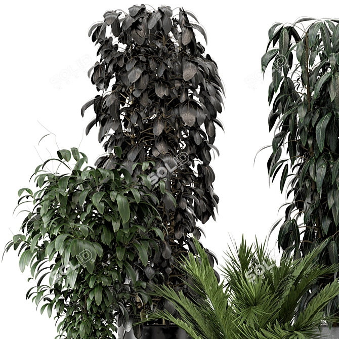 Modern Indoor Plants in Ferm Living Bau Pot Set 3D model image 3