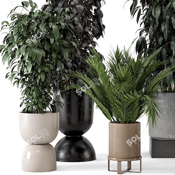 Modern Indoor Plants in Ferm Living Bau Pot Set 3D model image 4