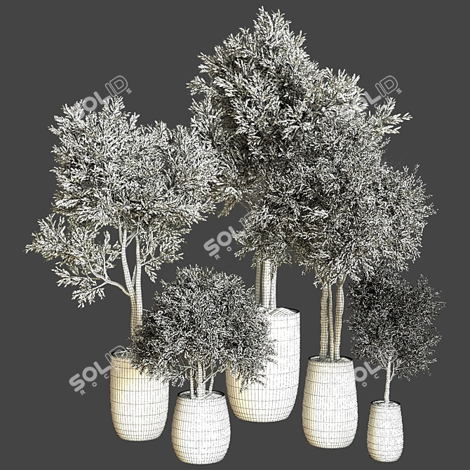 Botanical Bliss Indoor Plant Collection 3D model image 4