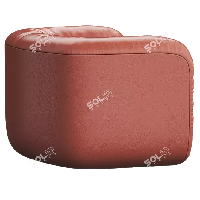 Luxury Leather Armchair: DS-707 by de Sede 3D model image 4