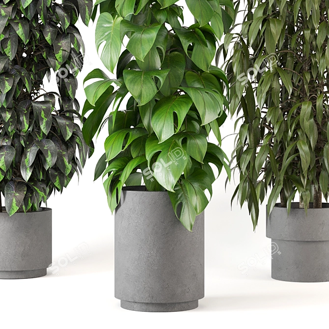 Greenery Haven - 3D Indoor Plants 3D model image 2