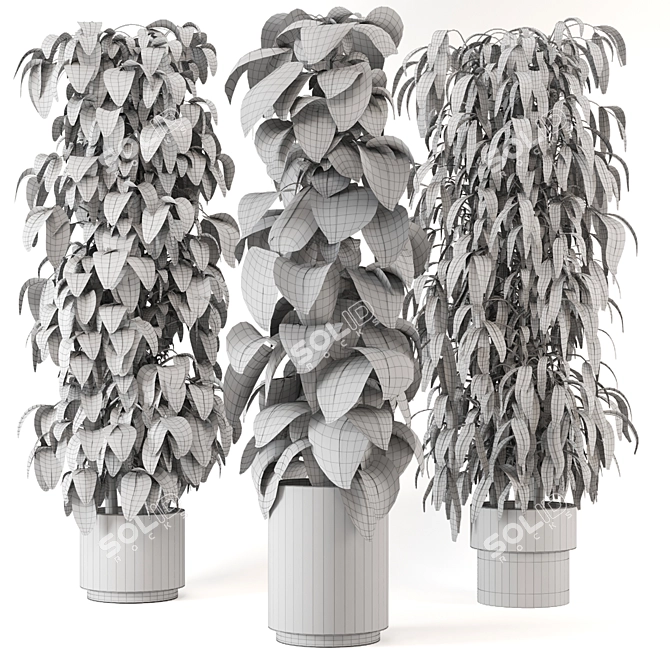 Greenery Haven - 3D Indoor Plants 3D model image 6