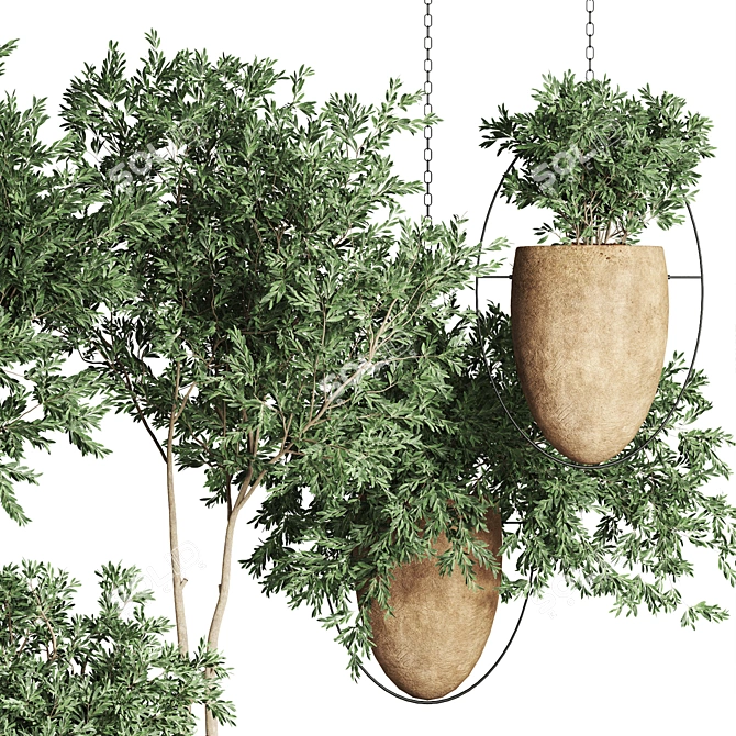 Indoor Plant Collection - 55 Varieties 3D model image 2