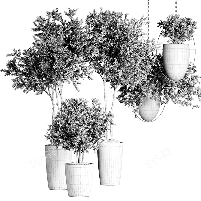 Indoor Plant Collection - 55 Varieties 3D model image 5