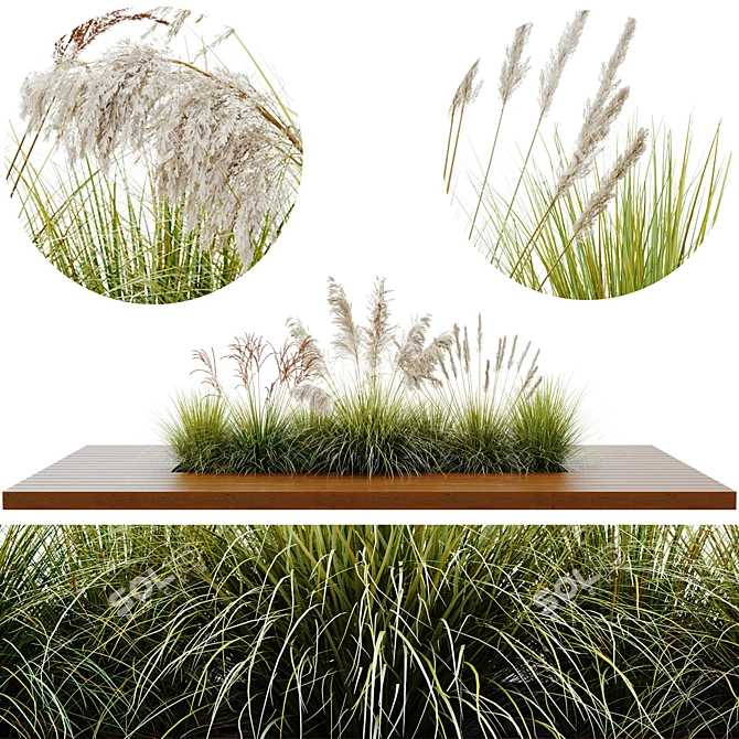 Stunning Outdoor Plant Set 3D model image 1