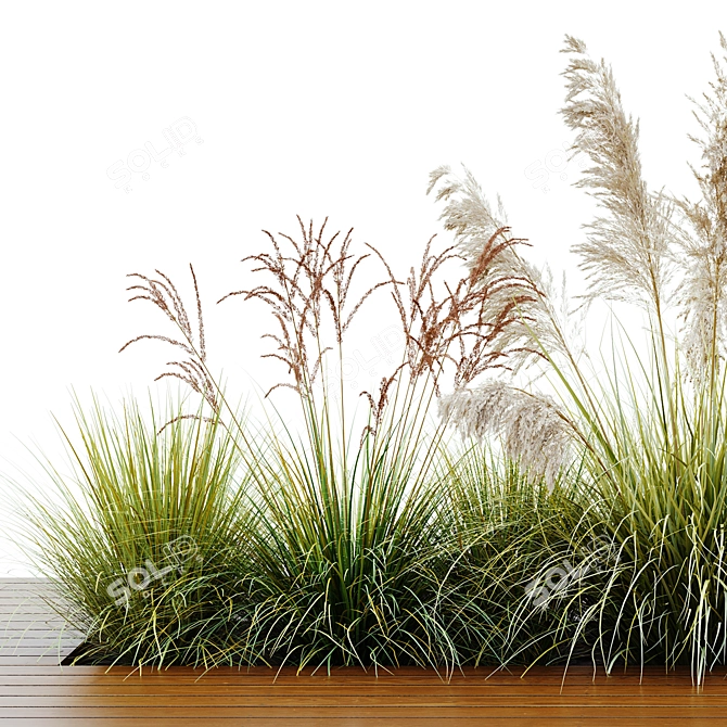 Stunning Outdoor Plant Set 3D model image 4