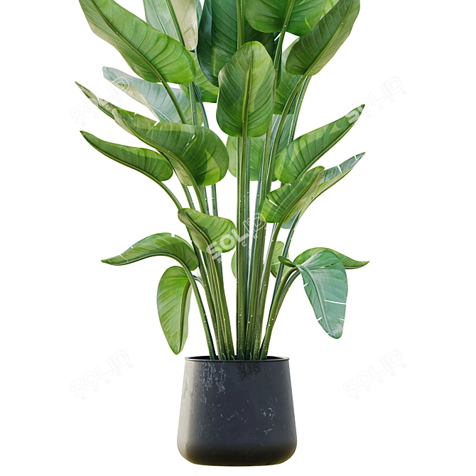 Lush Green Indoor Plant Set 3D model image 4