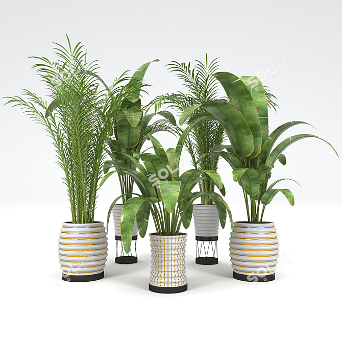 Tropical Plant Collection: Palm & Banana Trees 3D model image 1