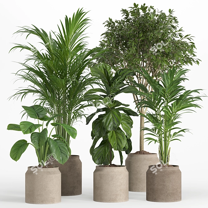 Pristine Indoor Oasis: Plant Set 018 3D model image 1