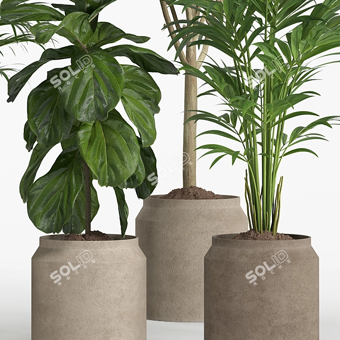 Pristine Indoor Oasis: Plant Set 018 3D model image 3