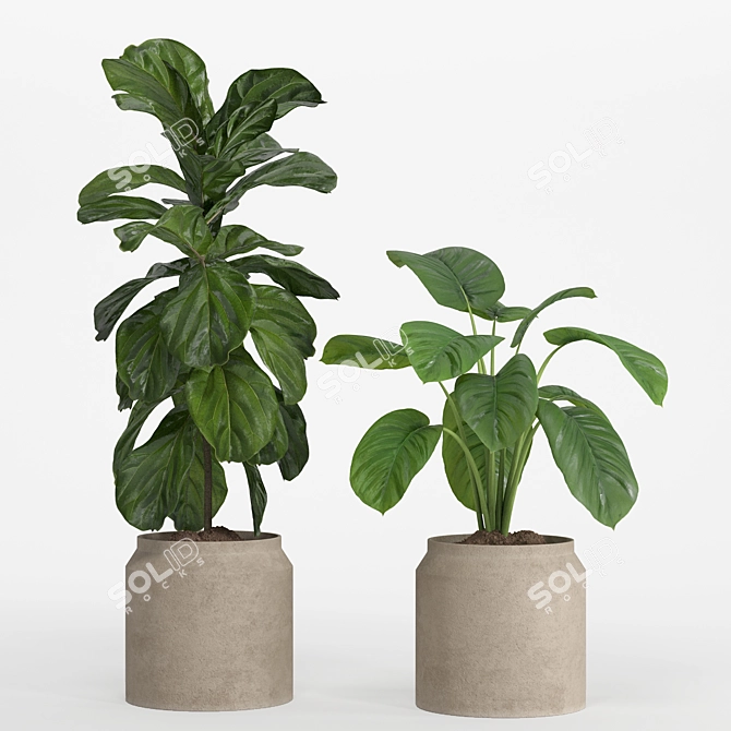 Pristine Indoor Oasis: Plant Set 018 3D model image 4