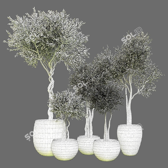 Indoor Plant Collection: Vol. 40 3D model image 4