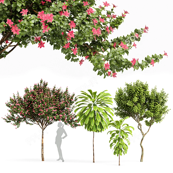 Fragrant Orchid & Palm Lily Tree Set 3D model image 1