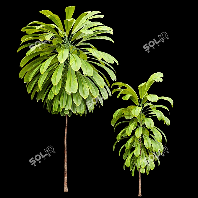 Fragrant Orchid & Palm Lily Tree Set 3D model image 2