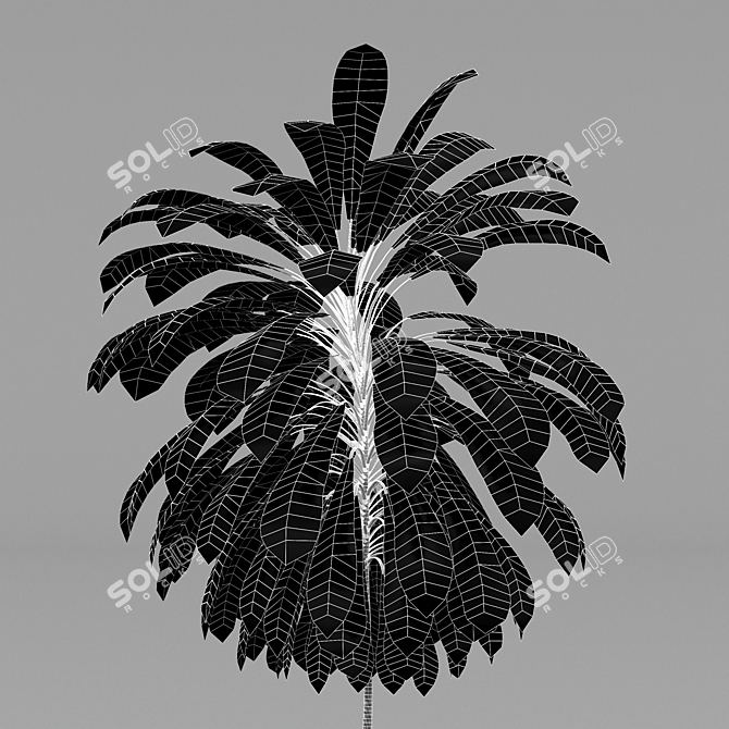 Fragrant Orchid & Palm Lily Tree Set 3D model image 6