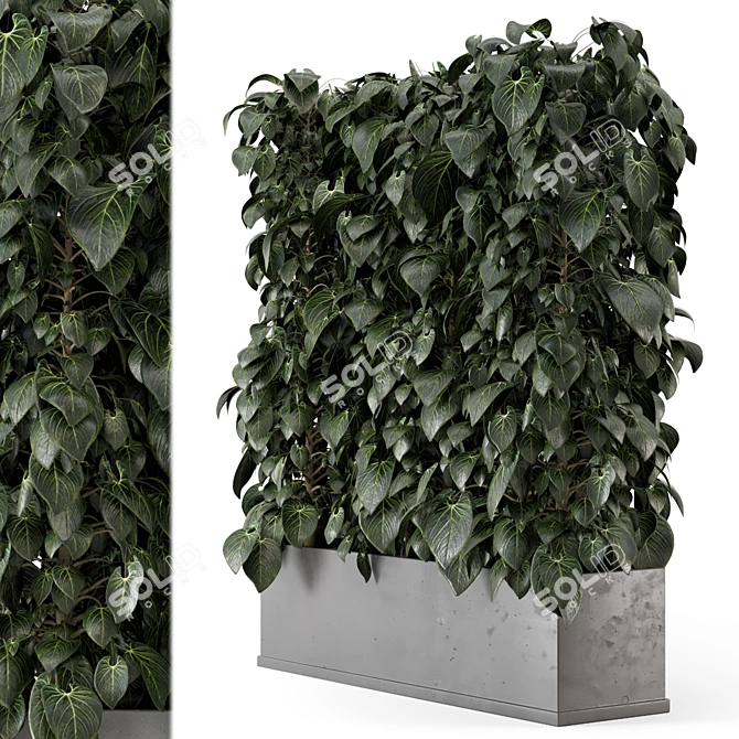 Concrete Pot - Indoor Plant Set 3D model image 1