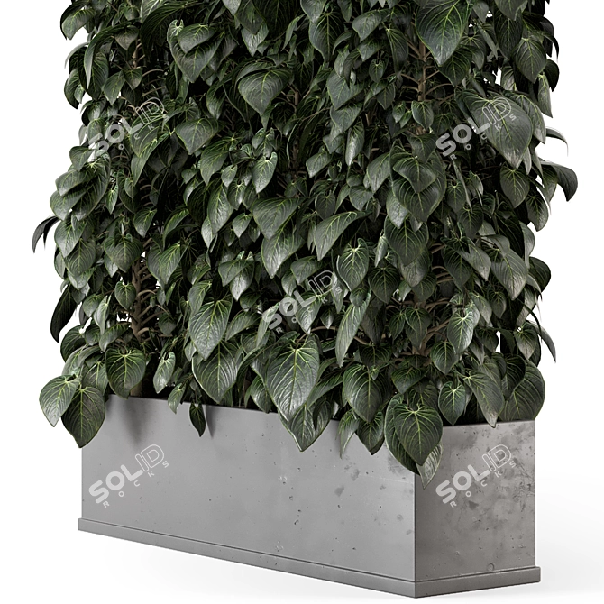 Concrete Pot - Indoor Plant Set 3D model image 5