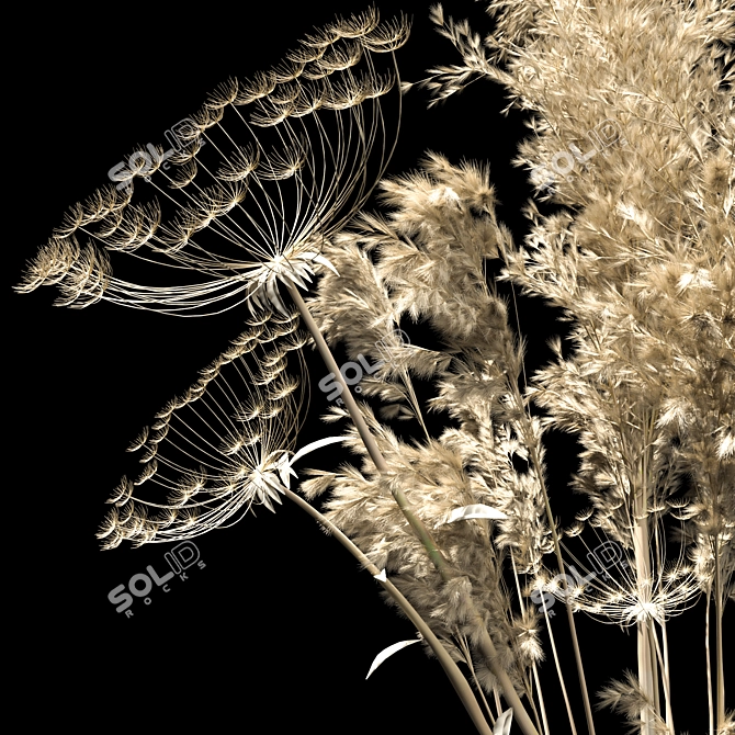 2018 Dried Flowers: Stunning PBR-Ready Decor 3D model image 5