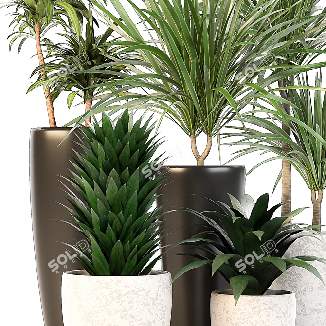 Lush Indoor Oasis: 10 Dracaena Set 3D model image 3