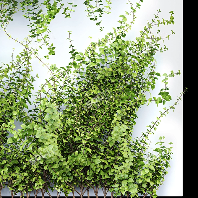 Elevate Your Space with Artificial Hanging Plants 3D model image 3