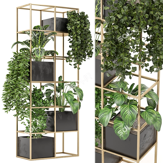 Green Oasis - Indoor Plants Collection 3D model image 2