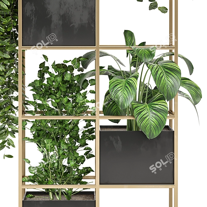 Green Oasis - Indoor Plants Collection 3D model image 4