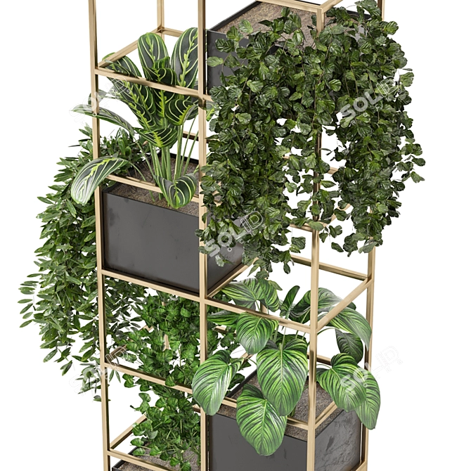 Green Oasis - Indoor Plants Collection 3D model image 6