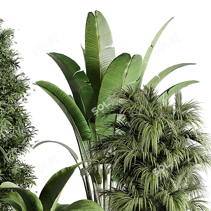 196 Plant Collection: Ficus, Rubber Palm, Ravenala, Bamboo in Concrete Vase 3D model image 3