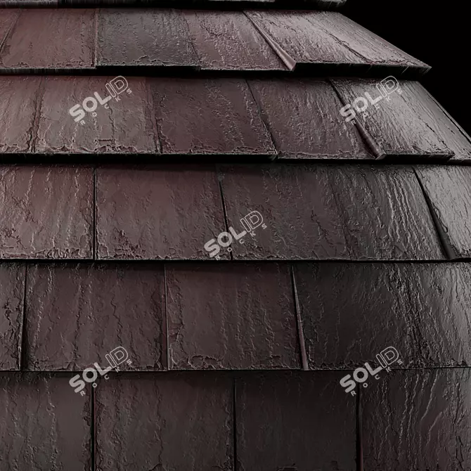 Wood Roof Tile Materials 3D model image 7