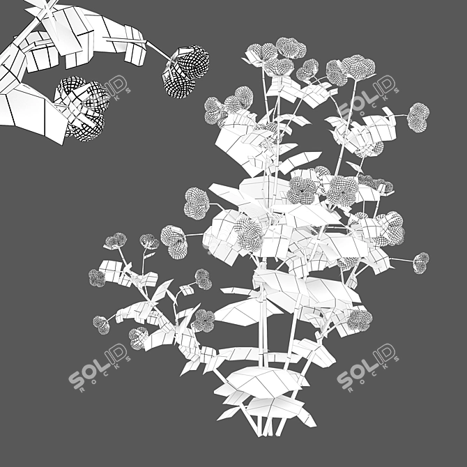 Gossypium: 8pcs Cotton Plant 3D model image 5