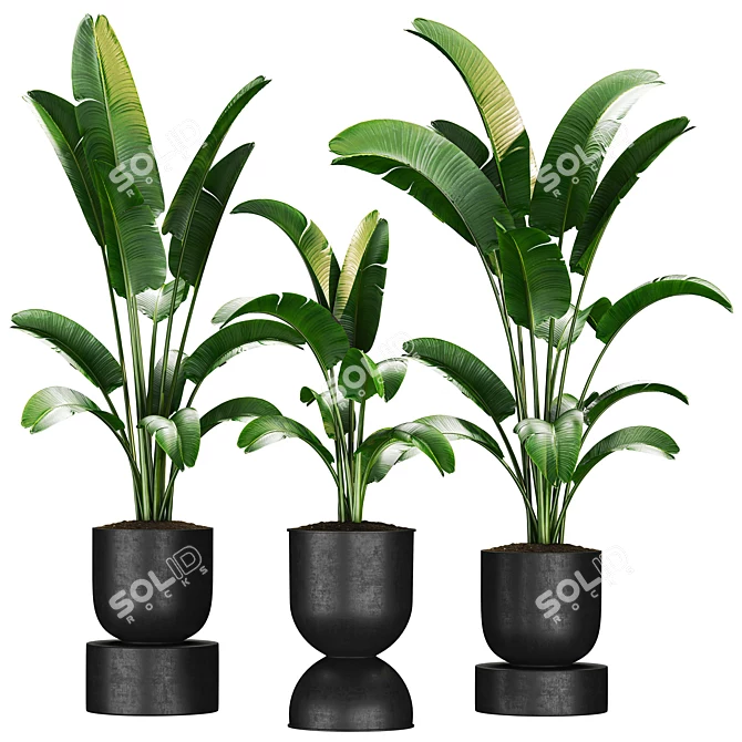 Premium Plant Collection 3D model image 1