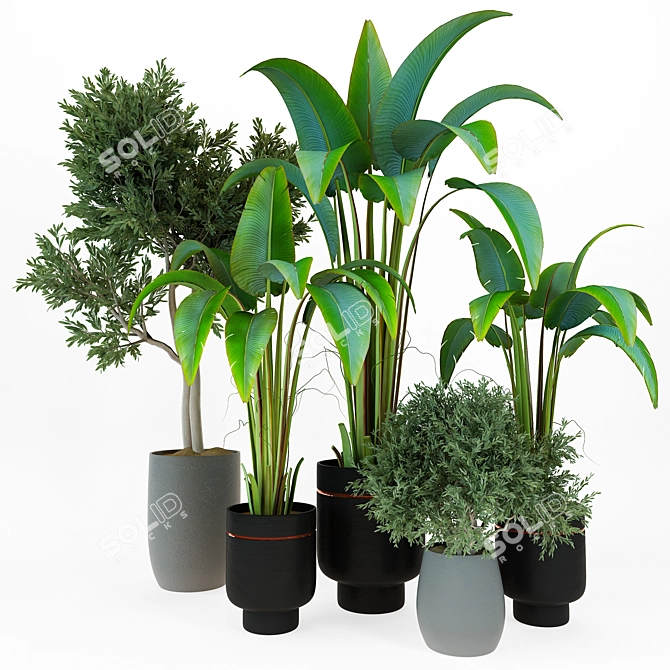 Sleek Indoor Plant Vol. 42 3D model image 1