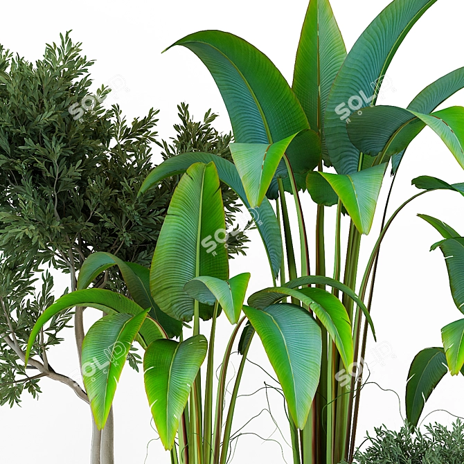 Sleek Indoor Plant Vol. 42 3D model image 2