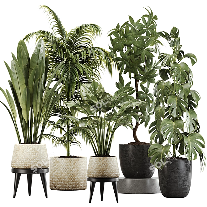 Botanical Bliss: Indoor Plant Set 20 3D model image 1